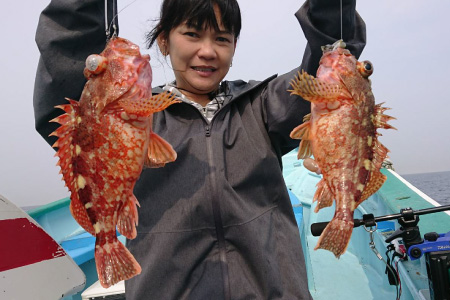 洲崎沖で釣れる魚