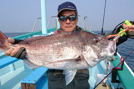 洲崎沖で釣れる魚